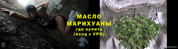 индика Ладушкин
