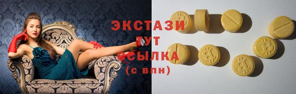 индика Ладушкин