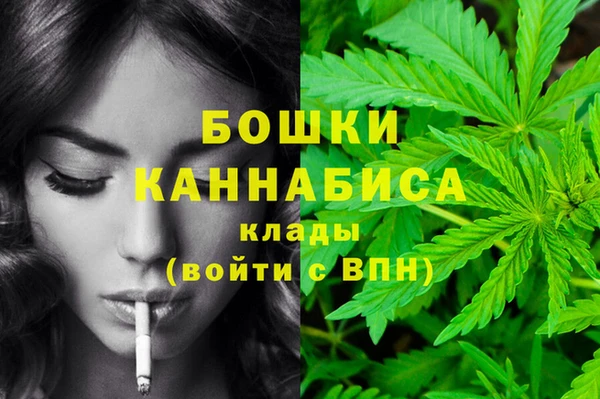 гидра Лагань