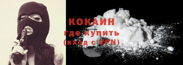 гидра Лагань