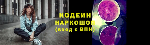 гашик Лабытнанги