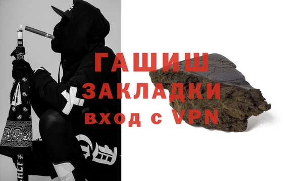 индика Ладушкин