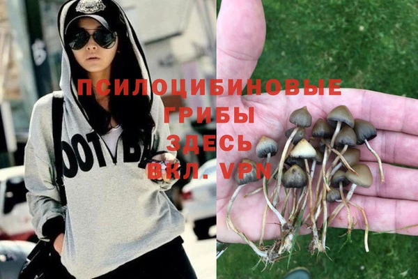 гашик Лабытнанги