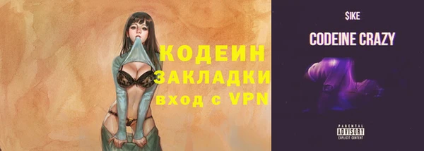гашик Лабытнанги