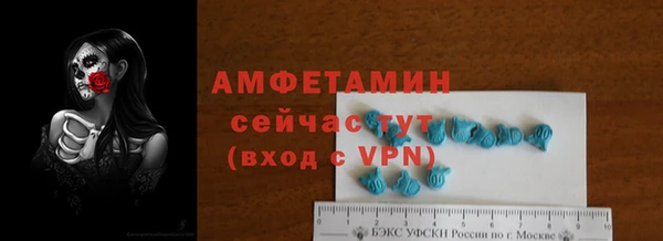 индика Ладушкин