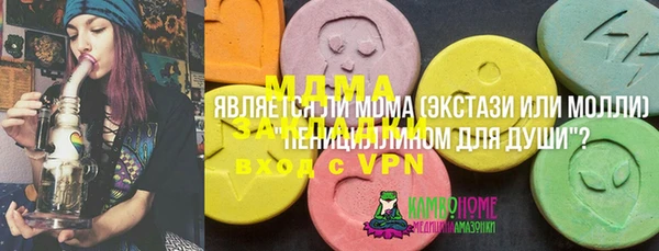 индика Ладушкин