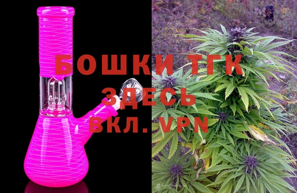 индика Ладушкин
