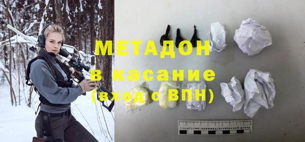 индика Ладушкин