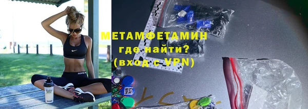 индика Ладушкин